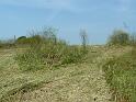 Picture 014